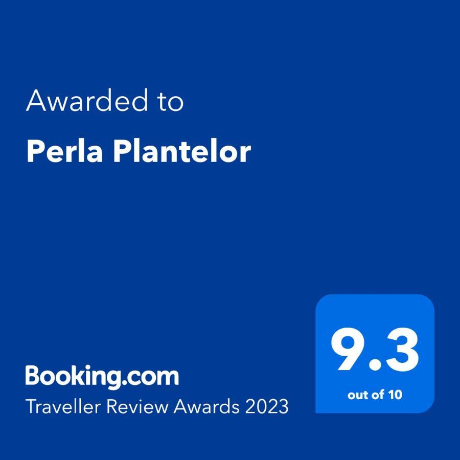 Perla Plantelor Leilighet Bucureşti Eksteriør bilde