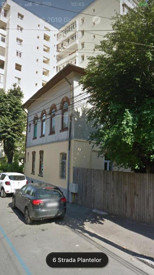 Perla Plantelor Leilighet Bucureşti Eksteriør bilde